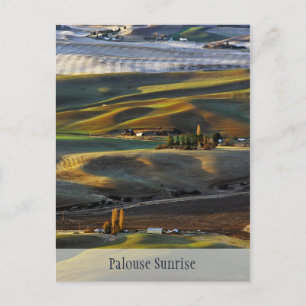 Palouse Sunrise Postkarte