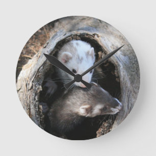 Pals Clock Runde Wanduhr