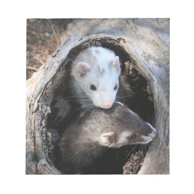 Pals Notepad Notizblock (Vorderseite)