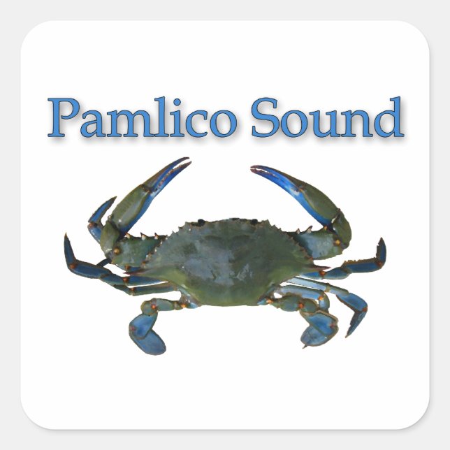 Pamlico Sound Blue Crab Quadratischer Aufkleber (Vorderseite)