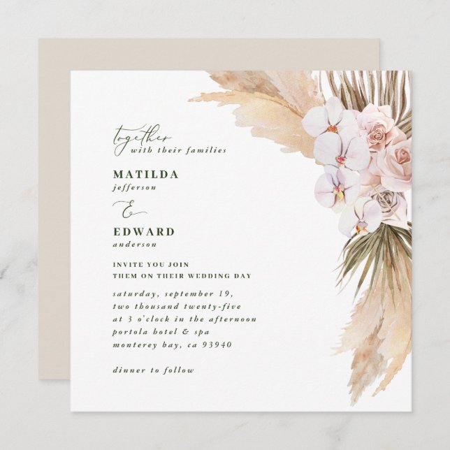 Pampas Gras Dessert natürlich getrocknet botanisch (Vorne/Hinten)