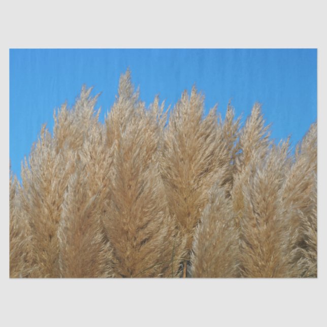 Pampas-Gras-Gewebe Seidenpapier (Vorderseite)
