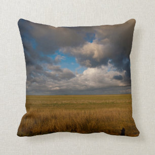 Pampas Kissen