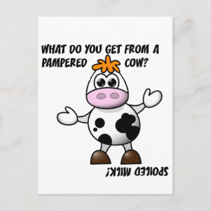 Pampered Cow Joke Postcard Postkarte