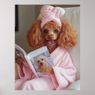 Pampered Poodle Reading Day Poster