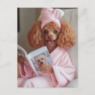 Pampered Poodle Reading Day Postkarte