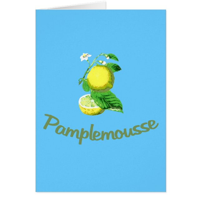 Pamplemousse Franzosen für Pampelmuse (Vorne)