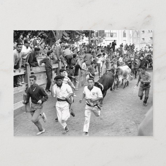 Pamplona Spanien Laufen der Bullen Postkarte (Vorderseite)