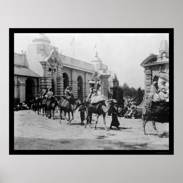 Pan Am Expo Camel Parade 1901 Poster (Vorne)