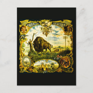 Pan Am Expo mit Bison- und indianischen Motiven Postkarte