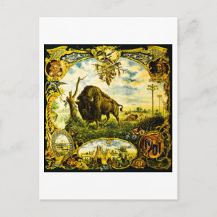 Pan Am Expo mit Bison- und indianischen Motiven Postkarte
