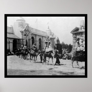 Pan- Amausstellungs-Kamel-Parade 1901 Poster