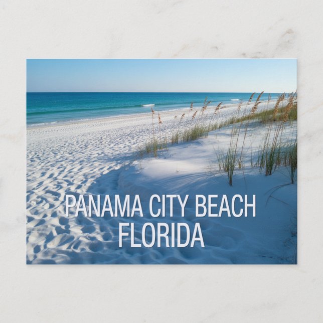 Panama City Beach Florida  Postkarte (Vorderseite)
