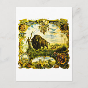 Panamerikanische Ausstellung 1901 Buffalo NY Indig Postkarte