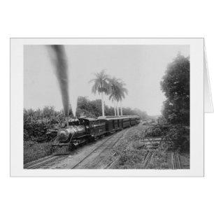 Panamerikanische Zentralbahn in Guatemala