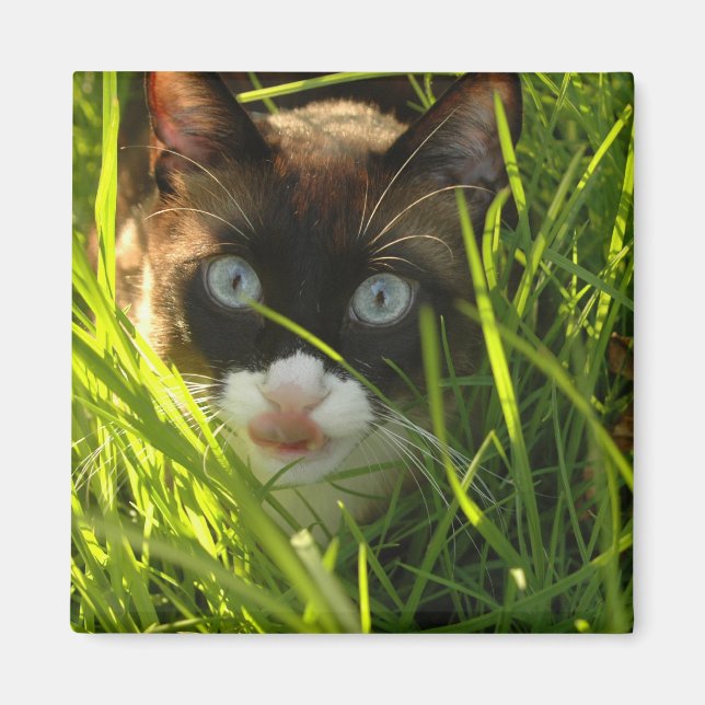 Pancake Magnet (Vorne)