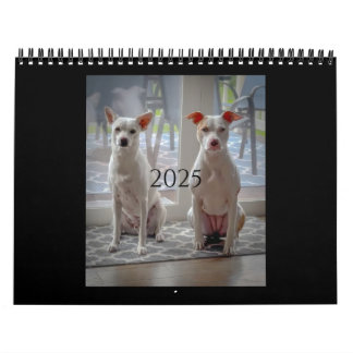 Pancake und Milchshake, mittlerer Kalender