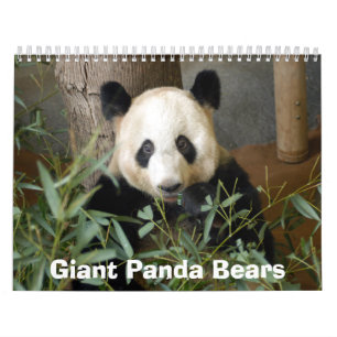 panda117, Panda-Bären Kalender