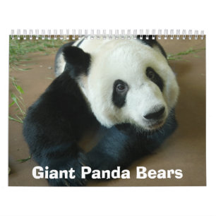panda118, Panda-Bären Kalender