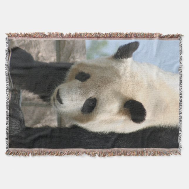 Panda20170506_by_JAMFoto Decke (Vorderseite)