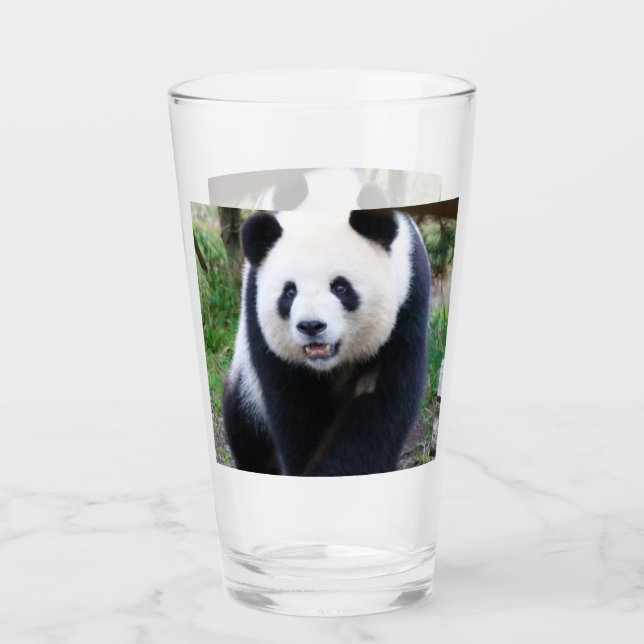Panda_20190301_by_JAMFoto Glas (Vorderseite)