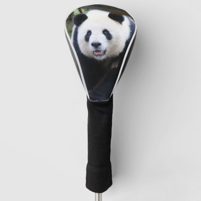Panda_20190301_by_JAMFoto Golf Headcover (Vorderseite)