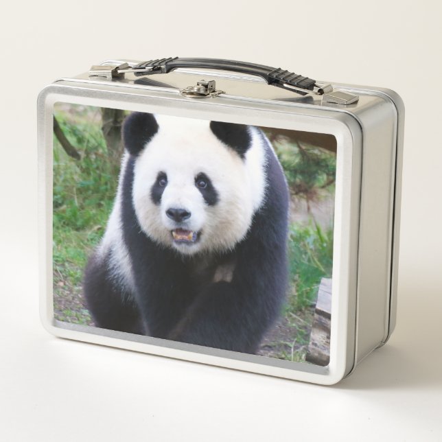 Panda_20190301_by_JAMFoto Metall Brotdose (Vorderseite)