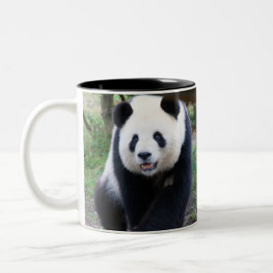 Panda_20190301_by_JAMFoto Zweifarbige Tasse