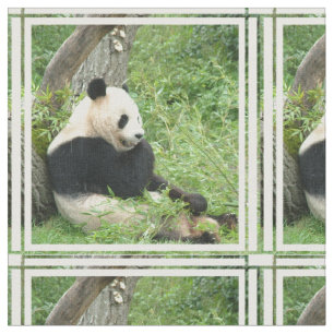 panda-4.jpg stoff