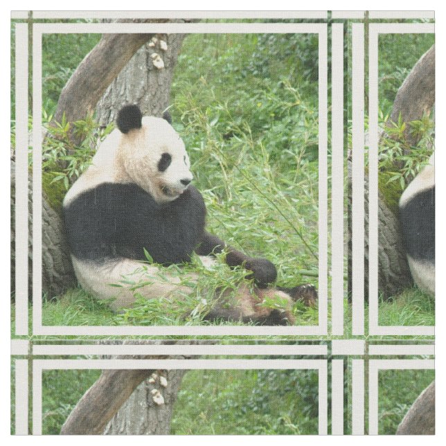 panda-4.jpg stoff (Nahaufnahme)