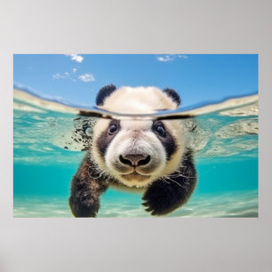 Panda Animal Fun Nature Playing Water Poster