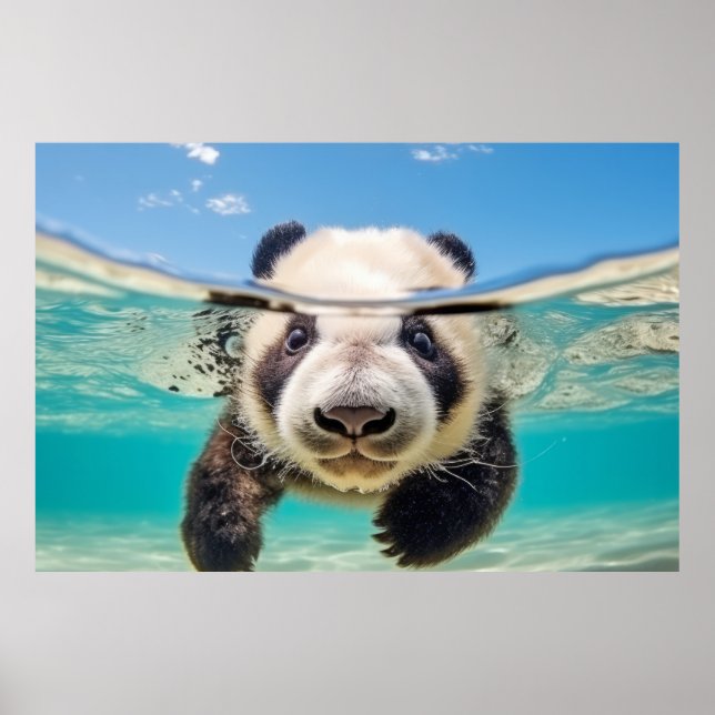 Panda Animal Fun Nature Playing Water Poster (Vorne)