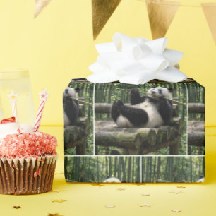 Panda auf einer Holzplattform Geschenkpapier