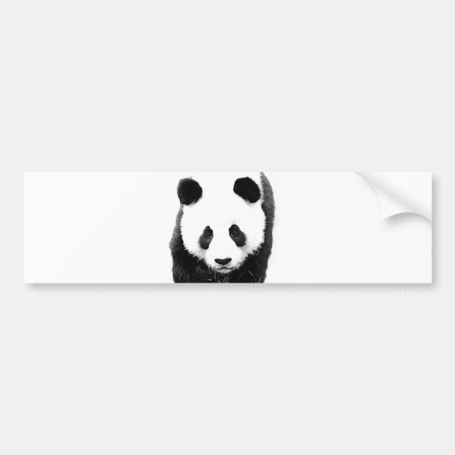 Panda Autoaufkleber (Vorne)