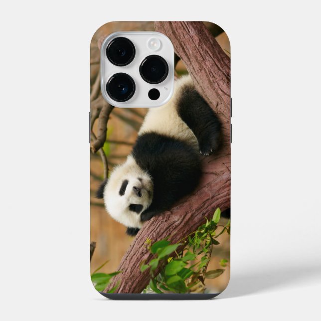 Panda-Bär Case-Mate iPhone-Hülle  iPhone Hülle (Rückseite)