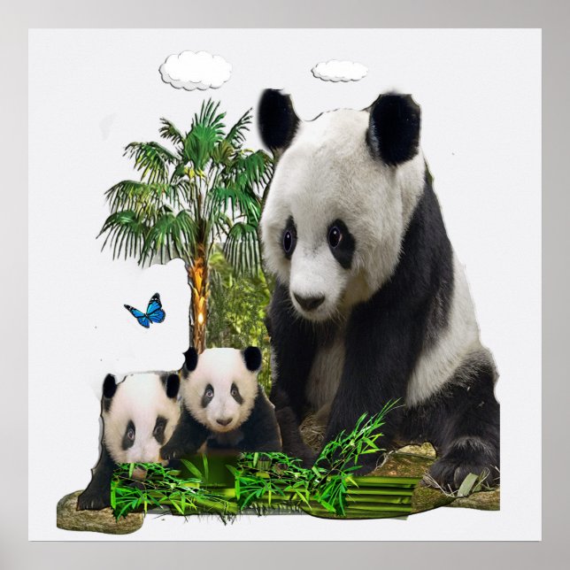Panda Bär entwirft Poster (Vorne)