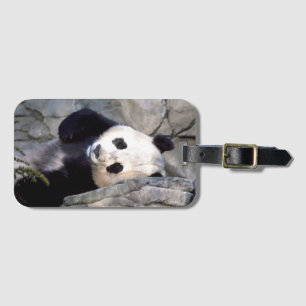 Panda-Bär Gepäckanhänger