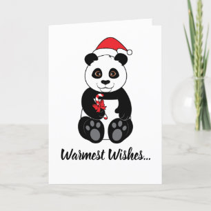 Panda Bär isst einen Zuckerstangen zu Weihnachten