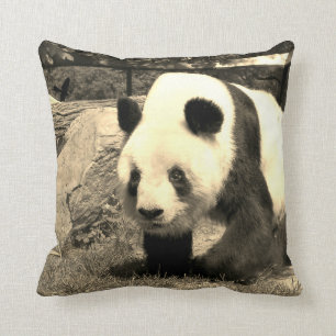 Panda-Bär Kissen