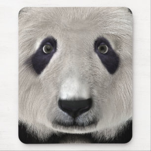 Panda Bär Mousepad
