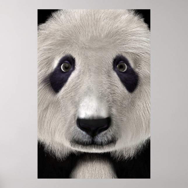 Panda Bär Poster (Vorne)