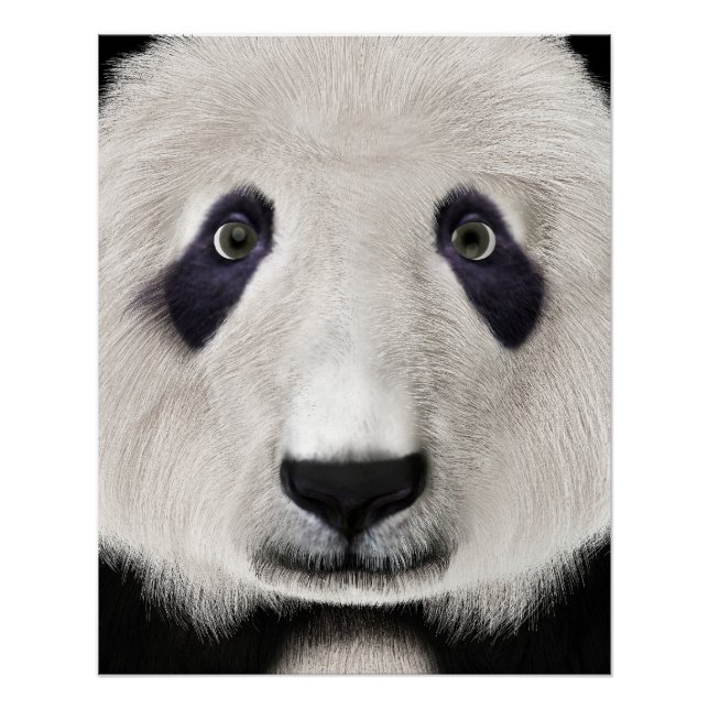 Panda Bär Poster (Vorderseite)