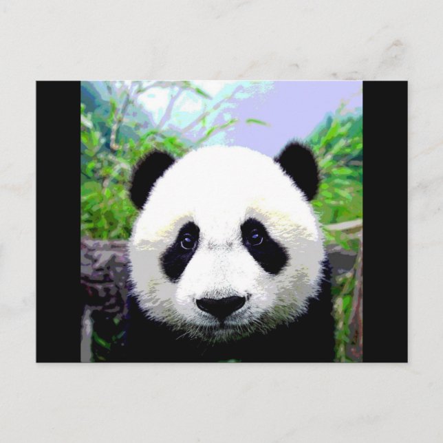 Panda Bär Postkarte (Vorderseite)