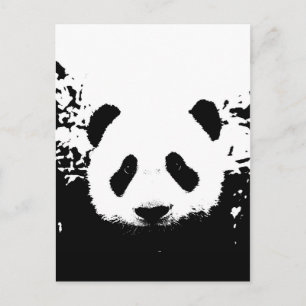 Panda Bär Postkarte