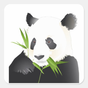 Panda-Bär Quadratischer Aufkleber