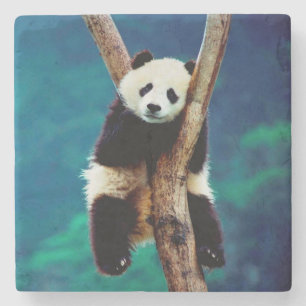 Panda Bär Steinuntersetzer