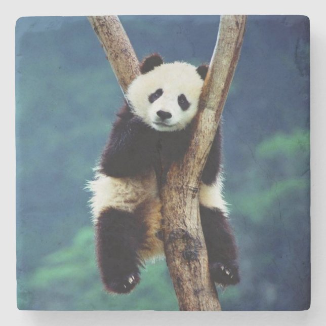 Panda Bär Steinuntersetzer (Vorderseite)