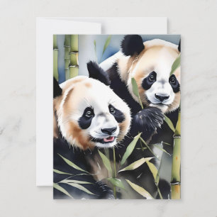 Panda-Bär-Studie B - Aquarelle Feiertagskarte