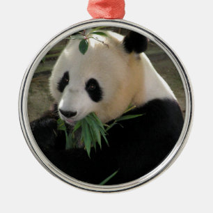 Panda-Bär Umarmungen Silbernes Ornament