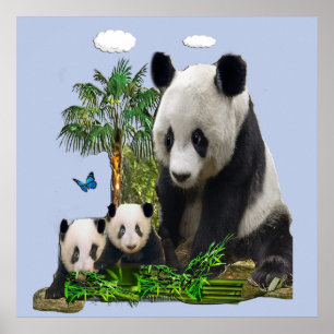 Panda Bär und Jungen Poster